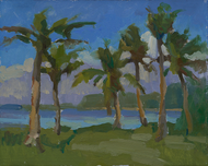 "Asan Park Guam"