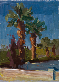 "Las Palmas Resort"