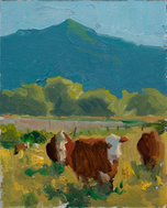 "Pasture Evening"