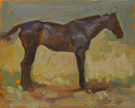 "Polo Study"