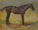 "Polo Study"
