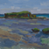 "Tide Pools"